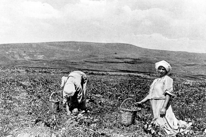Israel, 1912, Pioniere